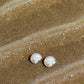 Original Colorful Diamonds Conch Earrings-FD91777446